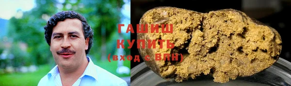 гидра Елабуга