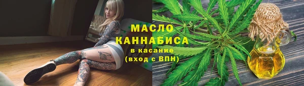 гидра Елабуга