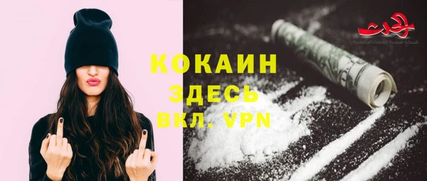 кокс Елизово