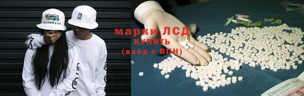 ECSTASY Ельня