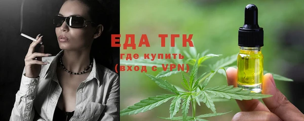 гидра Елабуга