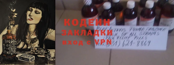 гидра Елабуга