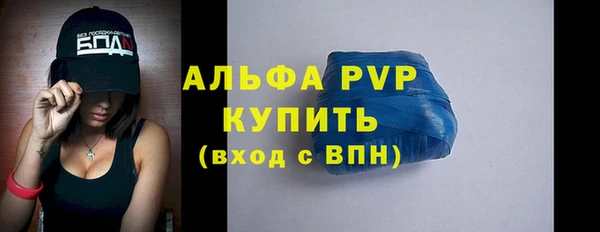 ECSTASY Ельня