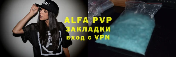 гидра Елабуга