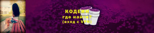 кокс Елизово