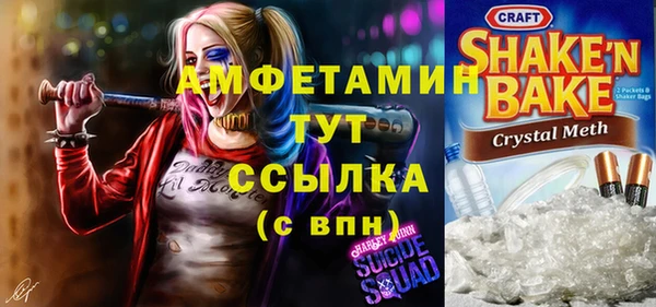 кокс Елизово