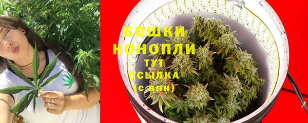 ECSTASY Ельня