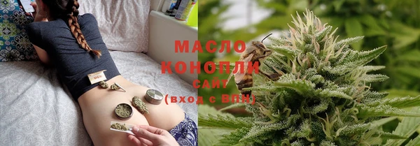 ECSTASY Ельня