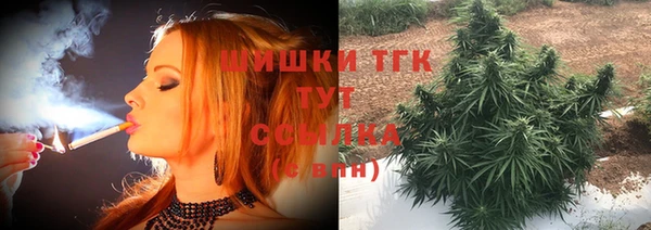 гидра Елабуга