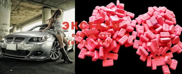 ECSTASY Ельня