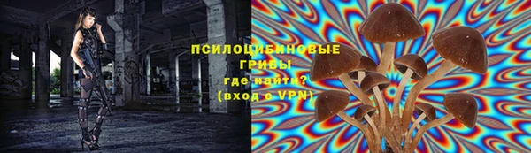 ECSTASY Ельня