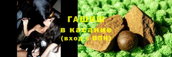 гидра Елабуга