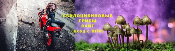 ALPHA-PVP Дмитров