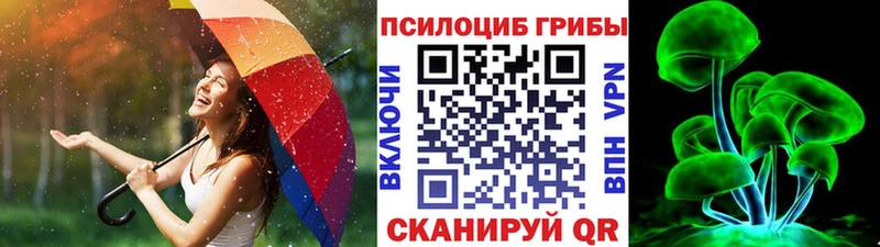 Псилоцибиновые грибы мицелий  Купить  Лесосибирск 